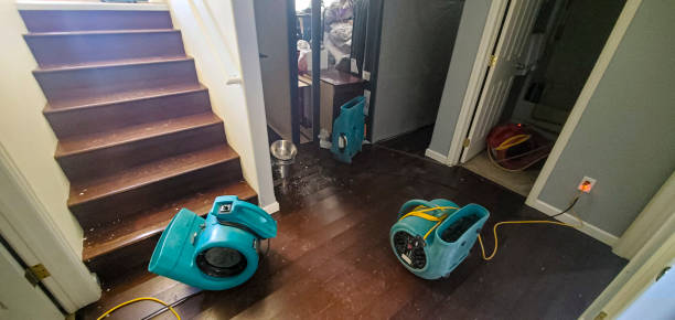 Best Commercial water damage restoration  in Oologah, OK