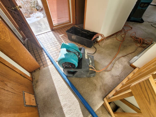 Carpet water damage restoration in OK