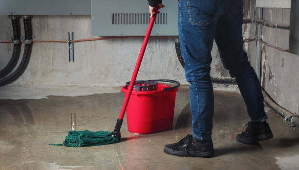 Best Water damage mitigation services  in Oologah, OK