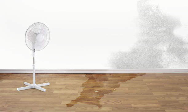 Best Basement water damage restoration  in Oologah, OK