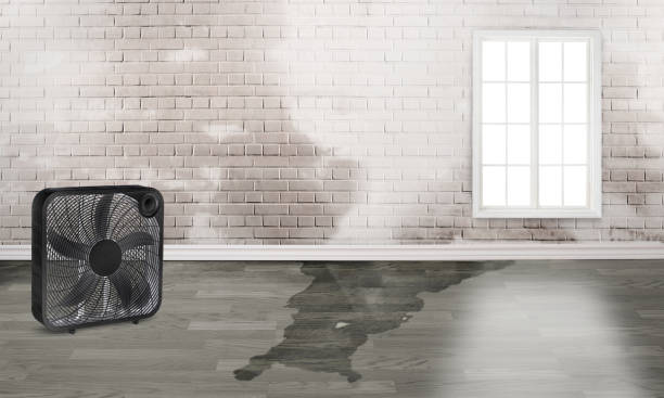 Best Flood restoration services  in Oologah, OK