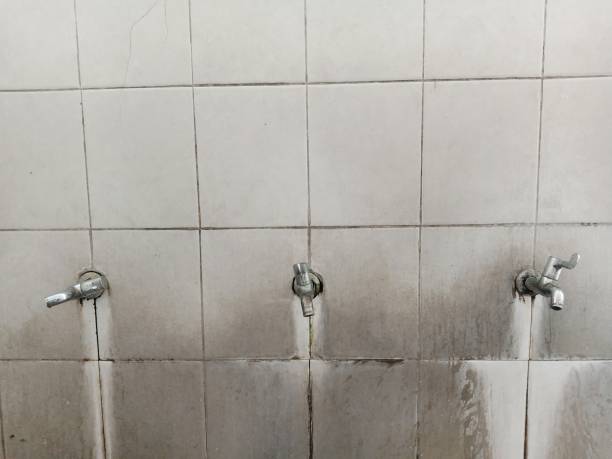 Best Ceiling water damage repair  in Oologah, OK