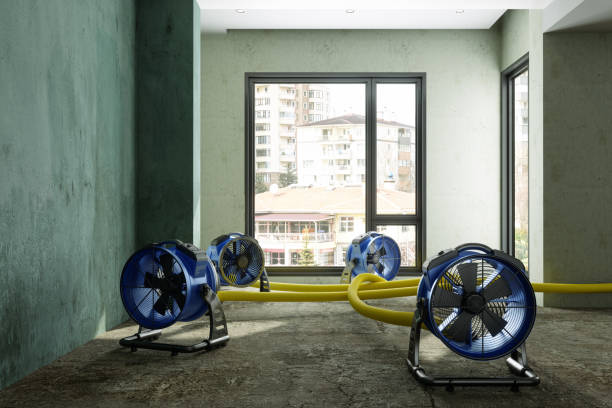 Professional Water damage restoration in OK