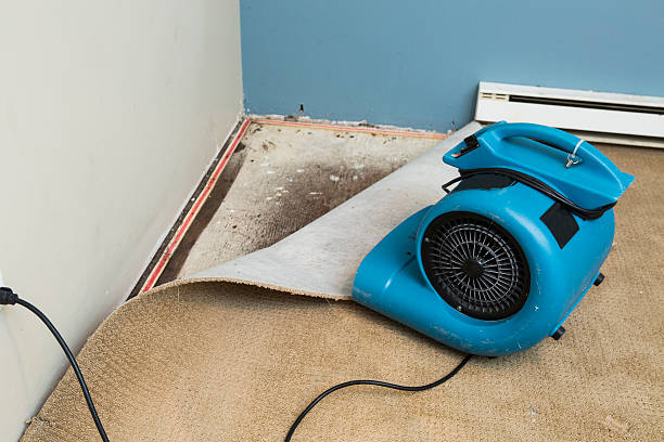 Best Water damage restoration experts  in Oologah, OK